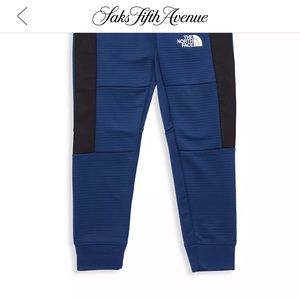 Little Boy's & Boy's Mountain Athletics Joggers